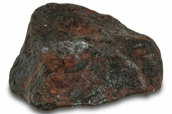 Canyon Diablo Iron Meteorite ( g) - Arizona #319572